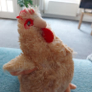 Meet your Posher, Joan